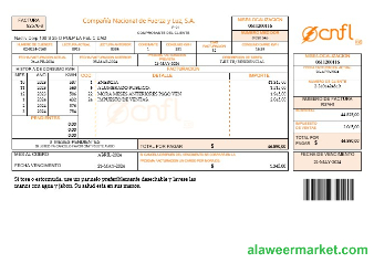 Costa  Rica Compania Nacional de Fuerza y Luz, S A CNFL business utility bill in word and pdf formats